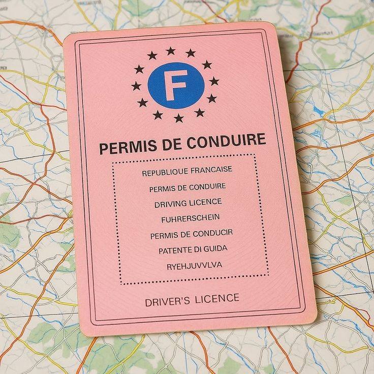 WhatsApp Image 2025-09-17 at 04.33.38 (6).jpeg